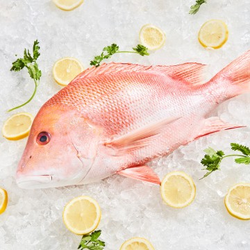 RARE DEALS! Emperor Red Snapper 红狮 (refer description)