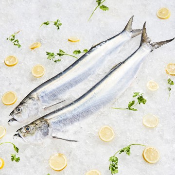 RARE DEALS! Wild Wolf Herring 野生西刀鱼 (refer description)