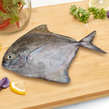 Black Pomfret Whole 黑鲳 (300g-400g)