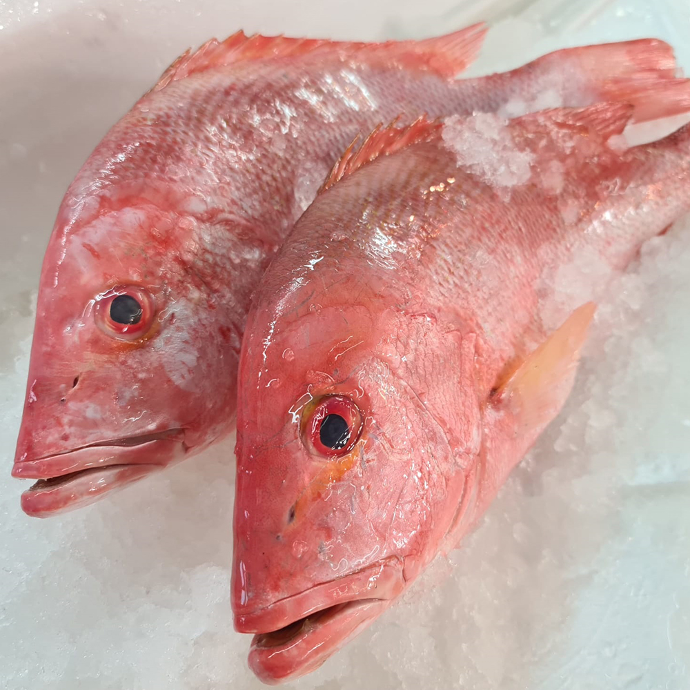 Promotion Wild Red Snapper