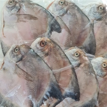 RARE DEALS! Frozen Small Chinese Pomfret 冰冻小斗昌 (refer description)