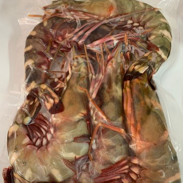 Frozen Kuruma Prawns (Big) 冰冻大九节虾 (refer description)