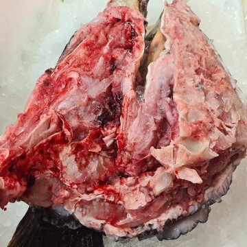 EXCLUSIVE! Frozen Goliath Grouper Head (Cut to pieces) 冰冻野生龙胆鱼头碎 (400g - 500g)