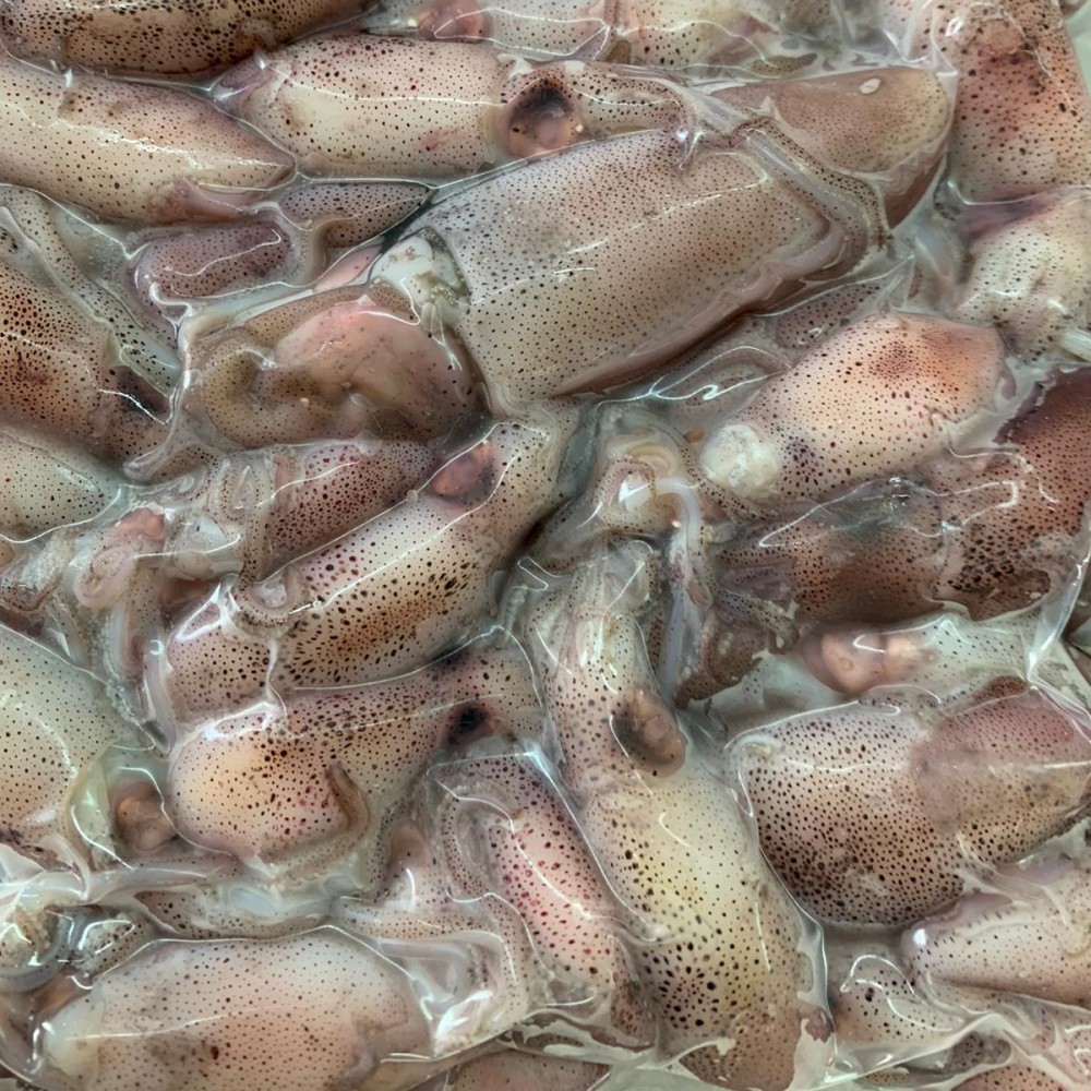 Frozen Seafood