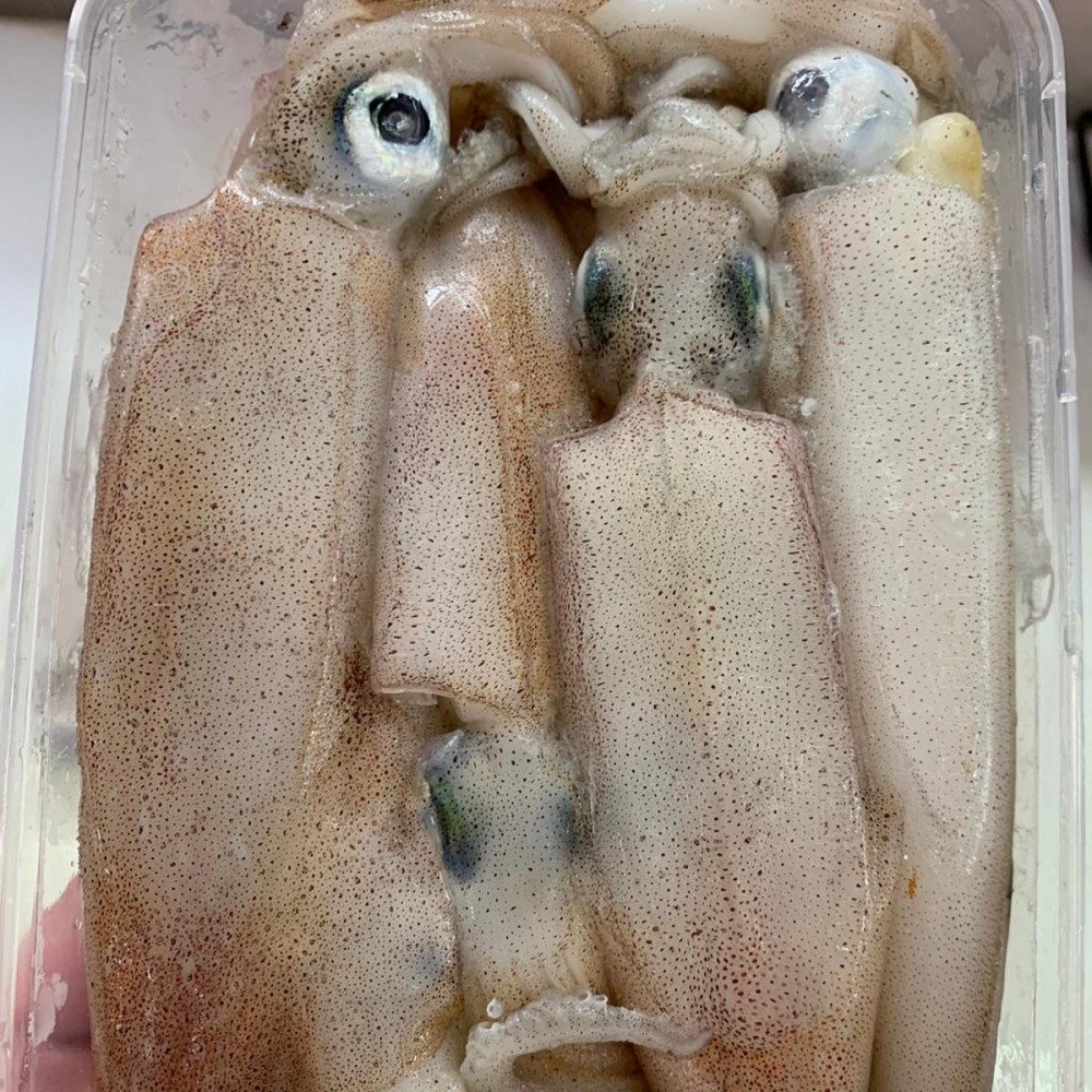 Frozen Seafood