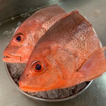 RARE DEALS! Frozen Red Snapper Head (Half a head) 冰冻春鸡头 (半个头)