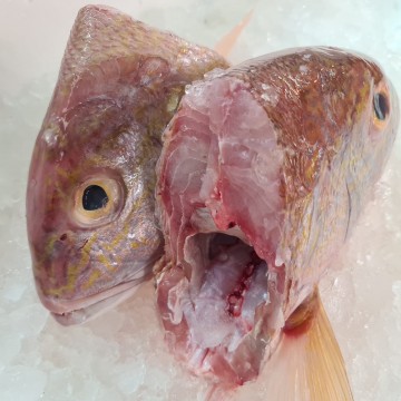 RARE DEALS! Frozen Seabream Head (Half a head) 冰冻红哥里头 (半个头)