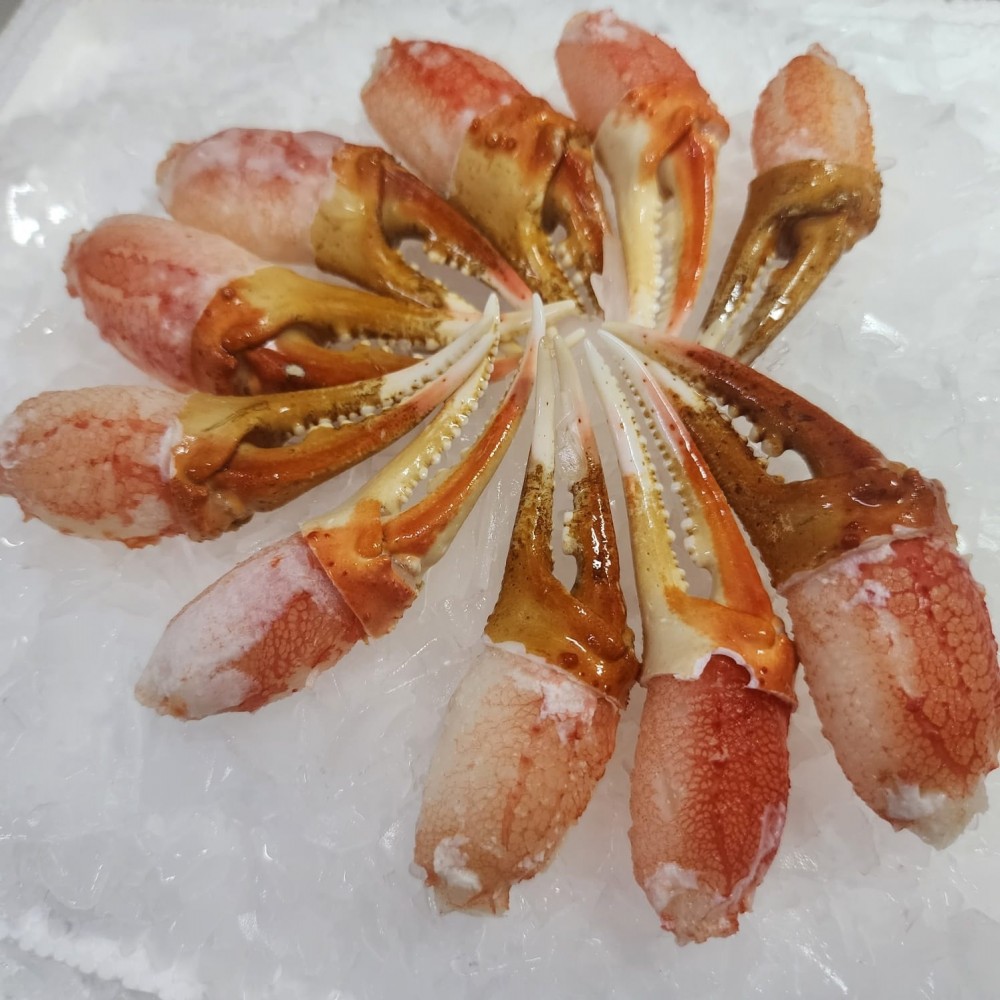 Frozen Seafood