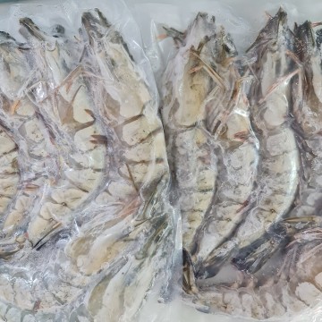 Frozen Tiger Prawns 冰冻老虎虾 (500g - 600g)