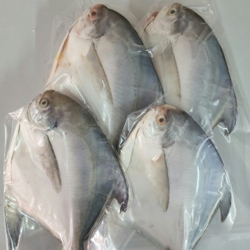 RARE DEALS! Frozen White Pomfret 冰冻白昌 (refer description)