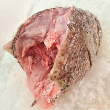 RARE DEALS! Grouper Head 石斑鱼头 (refer description)