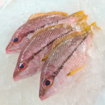 RARE DEALS! Kee Fish 记鱼 (Quantity & Weight Vary)