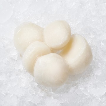 Frozen Canada Scallops 冰冻加拿大带子 (10-12pcs/430g-480g)