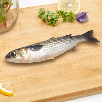 Grey Mullet Whole 乌鱼 (450g-500g)